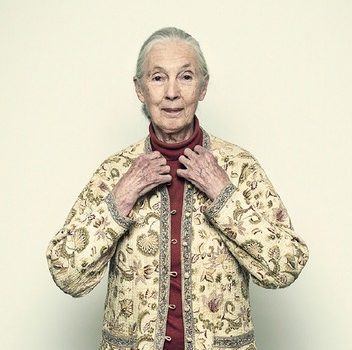 In conversation with… Jane Goodall